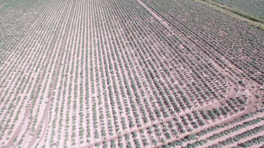 Aerial DesignMaker.be - Visuele inspectie